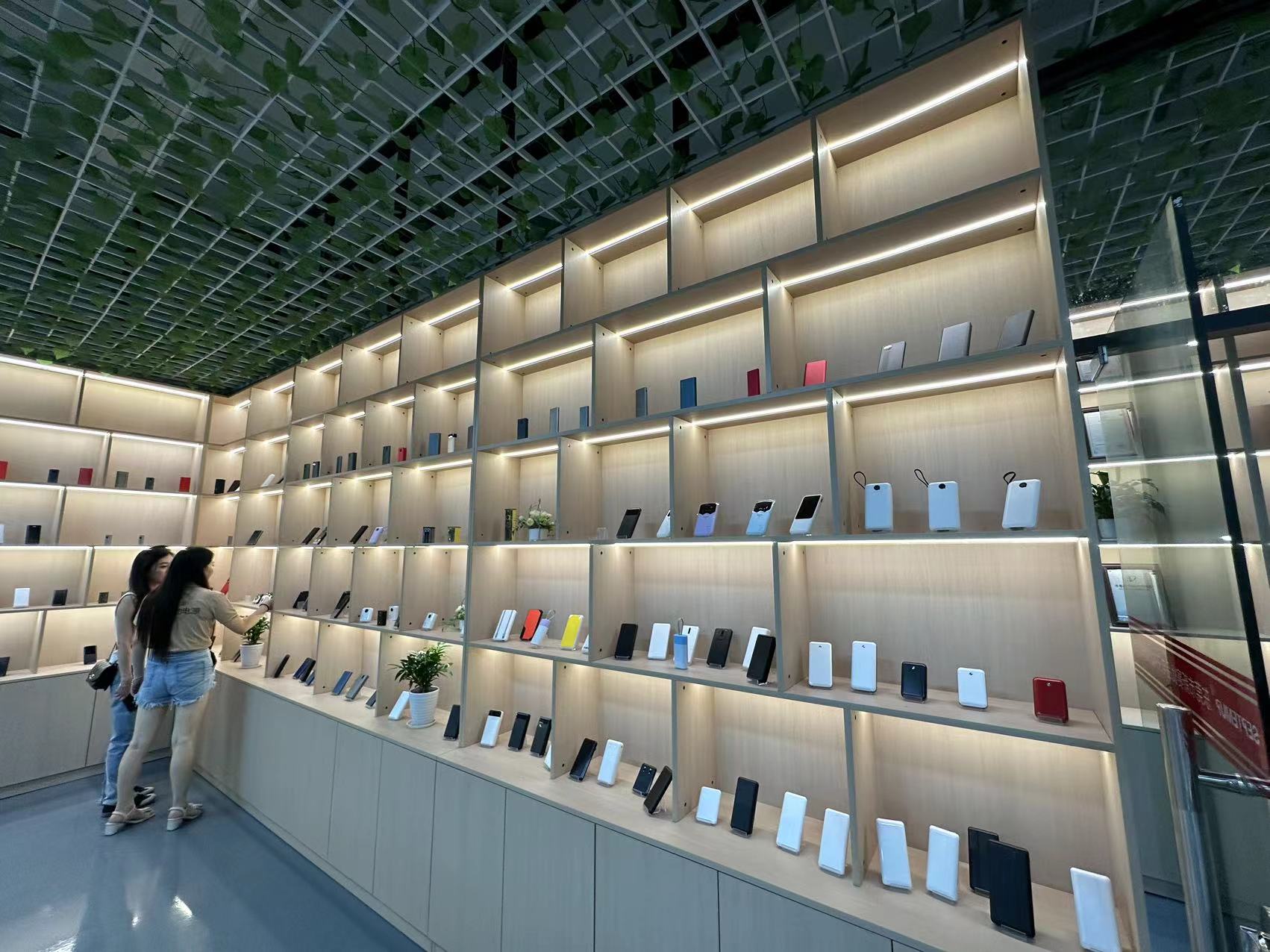 Magnetic power bank sample room